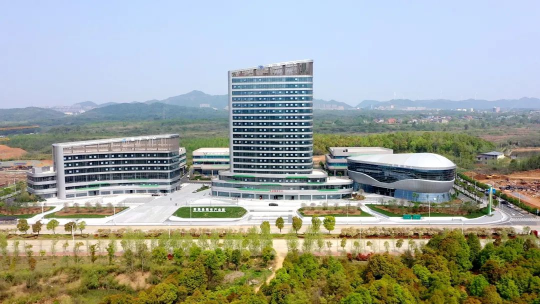推进数字产业化建设 加速产业数字化转型
